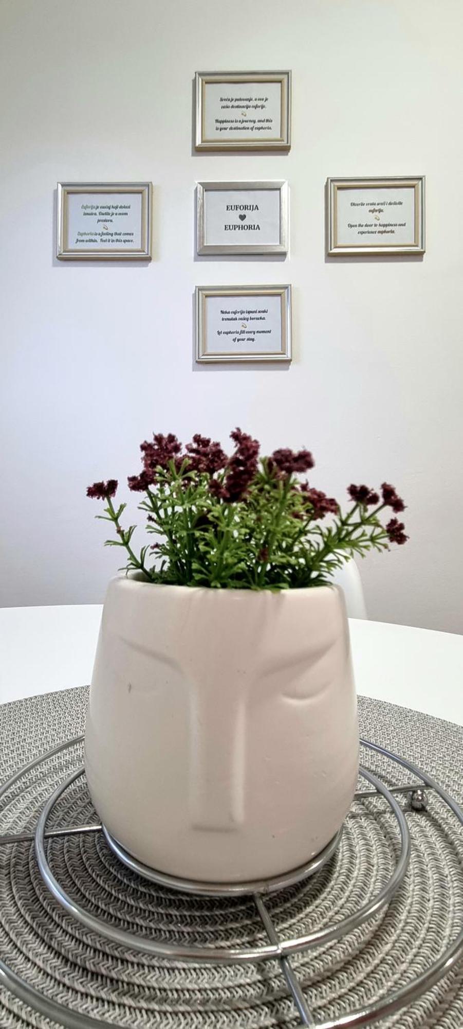 Euforia Apartment Belgrád Kültér fotó